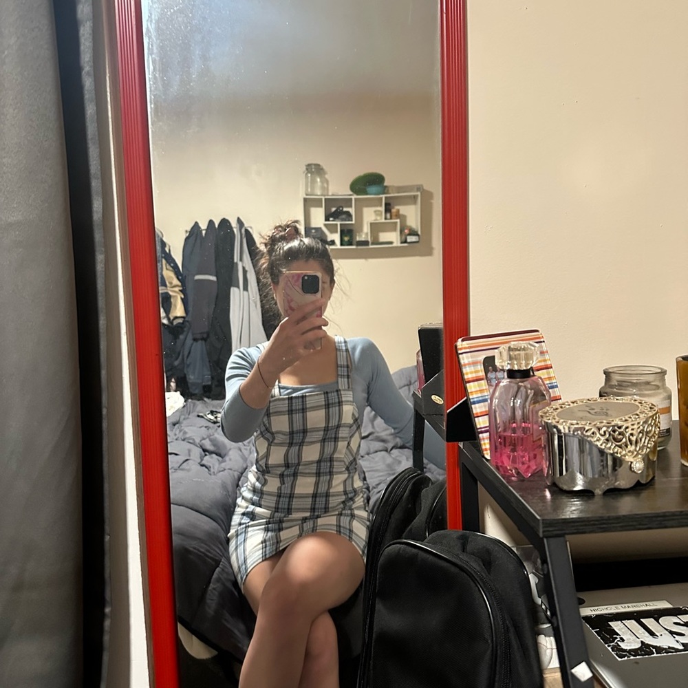 Francesca's Collections Blue and White Plaid Mini Dress